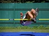 20100710_163904_vmik_img_8520