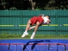 20100710_164205_vmik_img_8525
