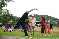 2008-koule